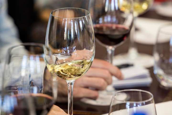 cartaxo wine tasting