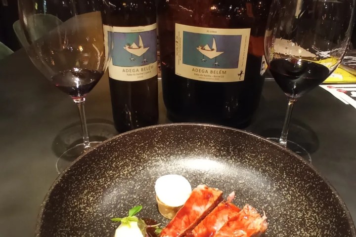 Lisbon Urban Winery Tour