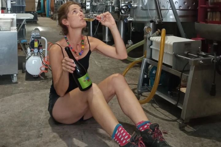 Lisbon Urban Winery Tour