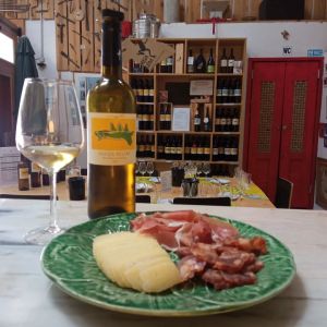 Lisbon Urban Winery Tour