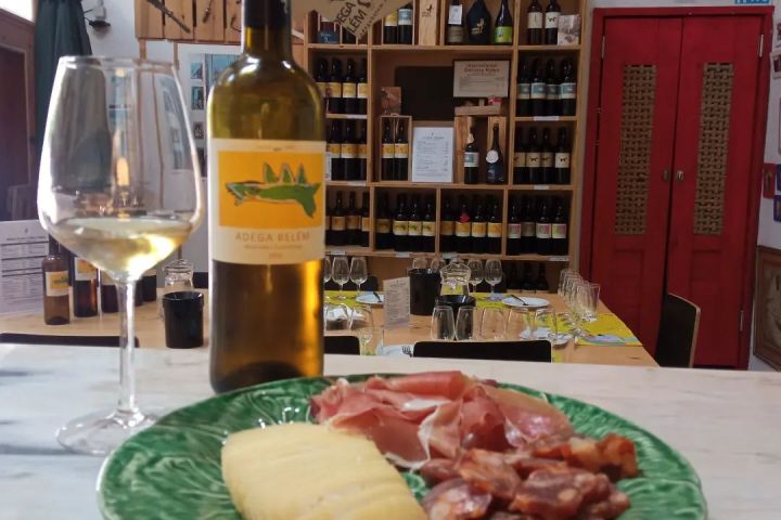 Lisbon Urban Winery Tour