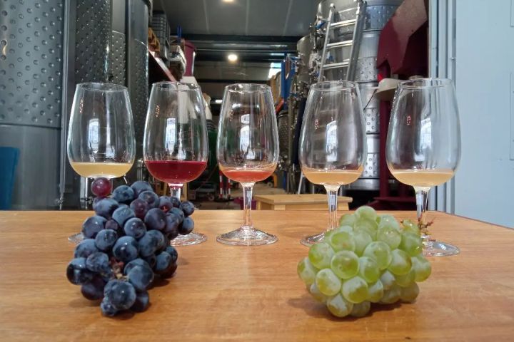 Lisbon Urban Winery Tour