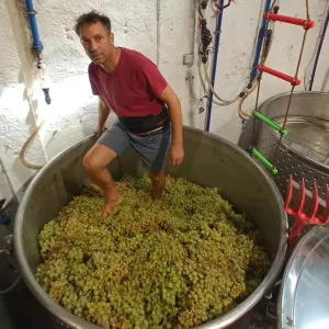 Lisbon Urban Winery Tour