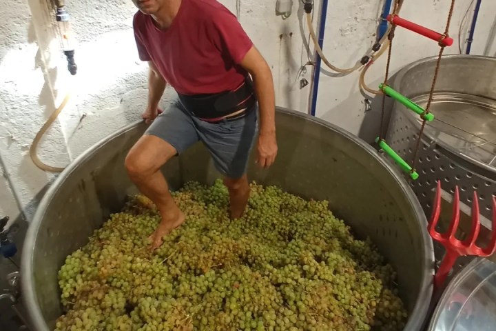 Lisbon Urban Winery Tour