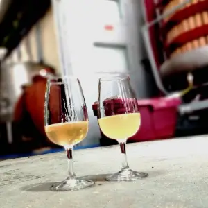 Lisbon Urban Winery Tour