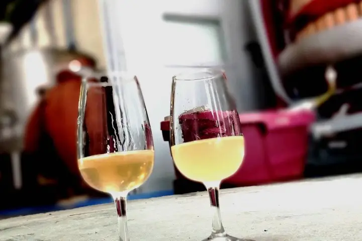 Lisbon Urban Winery Tour