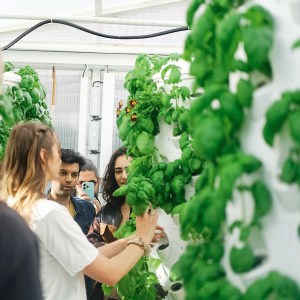 Lisbon Vertical Farm Tour
