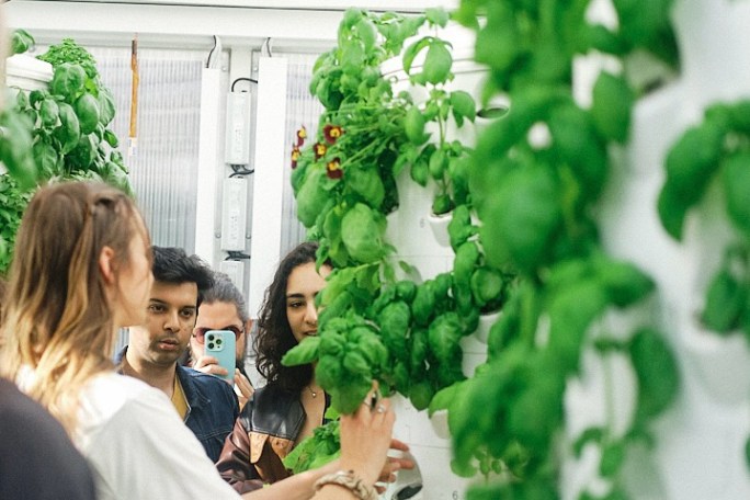 Lisbon Vertical Farm Tour