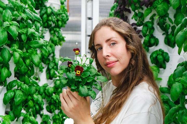 Lisbon Vertical Farm Tour