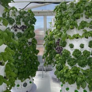 Lisbon Vertical Farm Tour