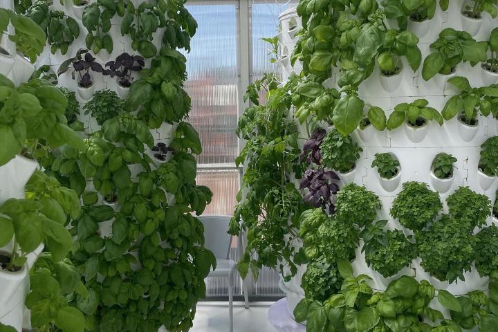 Lisbon Vertical Farm Tour