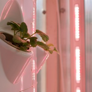 Lisbon Vertical Farm Tour