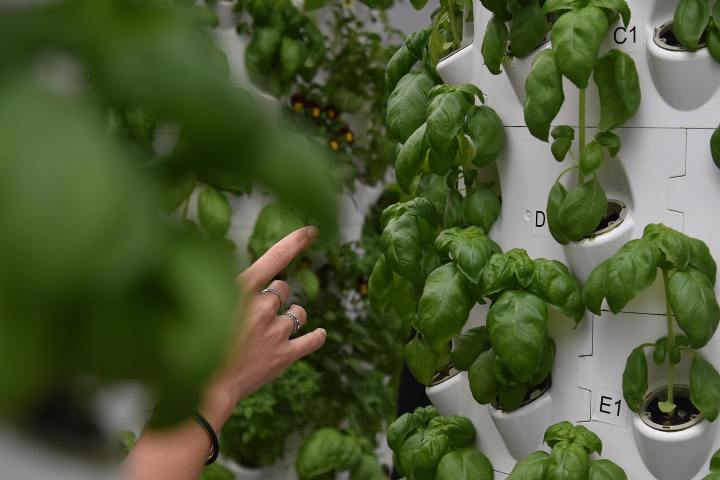 Lisbon Vertical Farm Tour