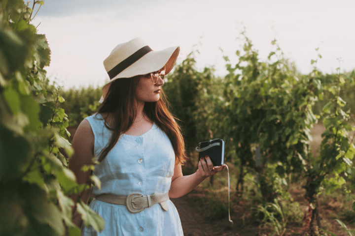 Walk through the Vineyards in Cartaxo