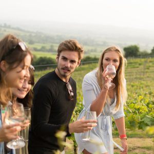 Walk through the Vineyards in Cartaxo