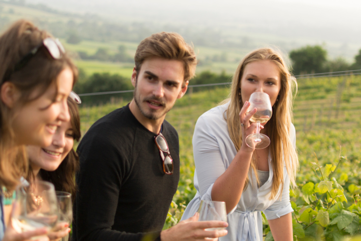 Walk through the Vineyards in Cartaxo