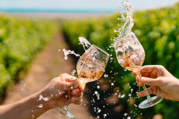 Walk through the Vineyards in Cartaxo