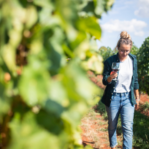 Walk through the Vineyards in Cartaxo