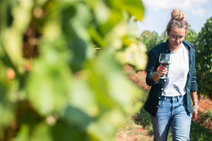 Walk through the Vineyards in Cartaxo