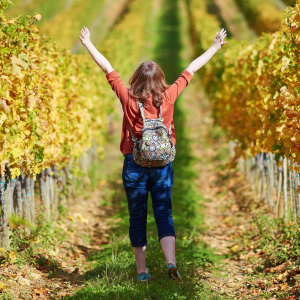Walk through the Vineyards in Cartaxo