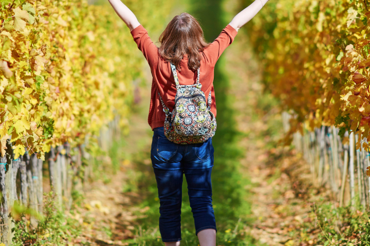 Walk through the Vineyards in Cartaxo