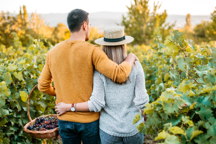 Walk through the Vineyards in Cartaxo