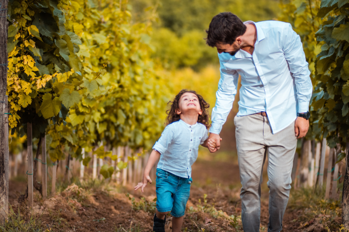 Walk through the Vineyards in Cartaxo
