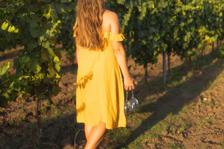 Walk through the Vineyards in Cartaxo