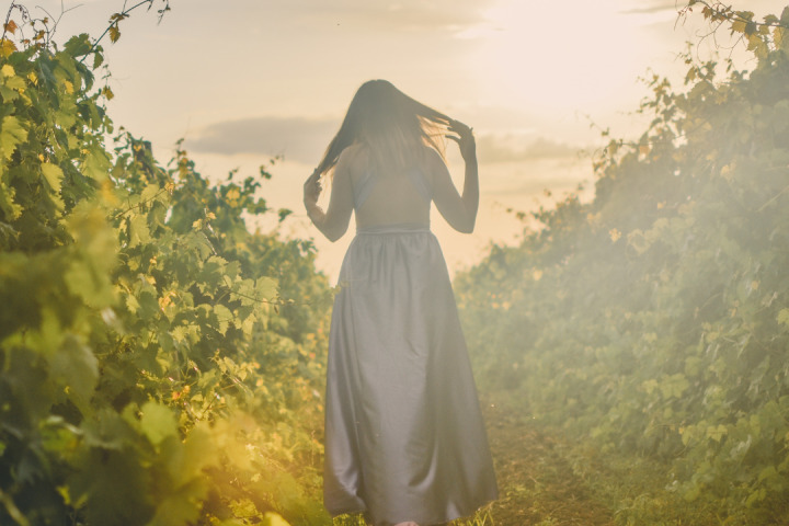 Walk through the Vineyards in Cartaxo