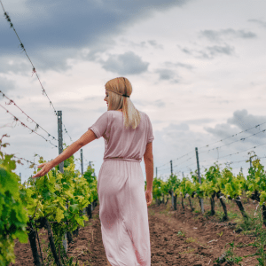 Walk through the Vineyards in Cartaxo