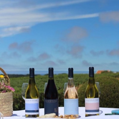 Zambujeira do mar Wine Tasting