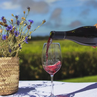 Zambujeira do mar Wine Tasting