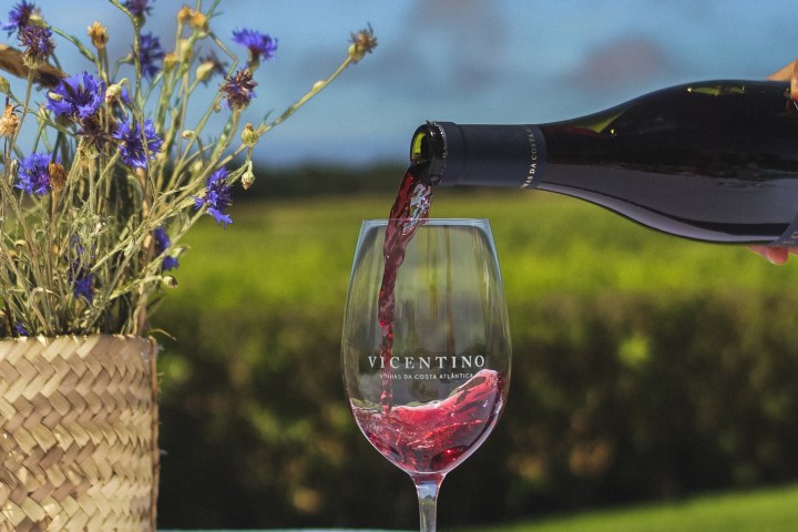 Zambujeira do mar Wine Tasting