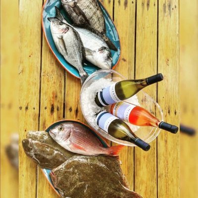 Zambujeira do mar Wine Tasting