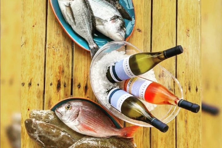 Zambujeira do mar Wine Tasting