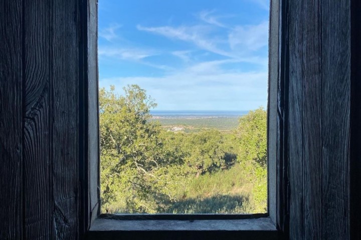 Zambujeira do mar Wine Tasting