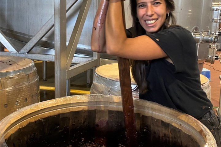 Zambujeira do mar Wine Tasting