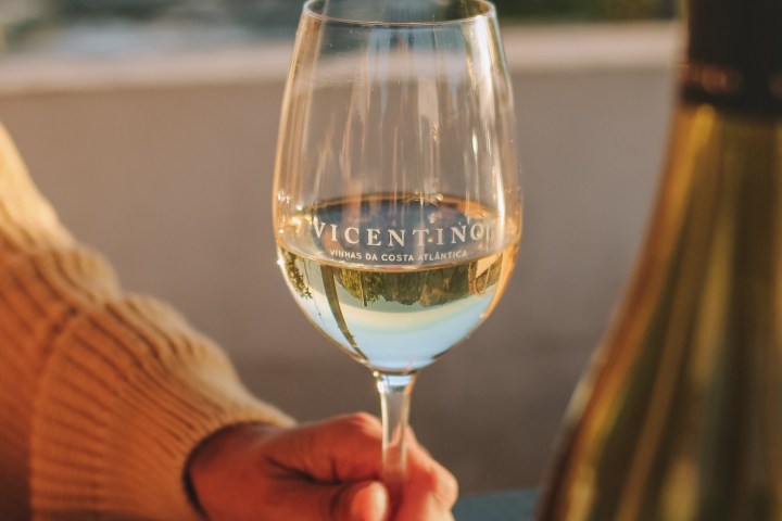 Zambujeira do mar Wine Tasting