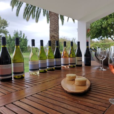 Zambujeira do mar Wine Tasting