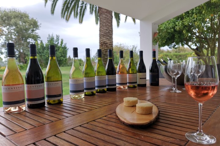 Zambujeira do mar Wine Tasting
