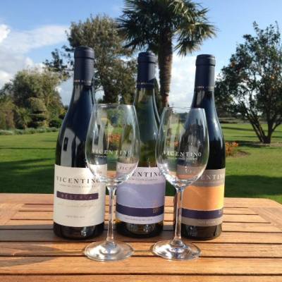 Zambujeira do mar Wine Tasting