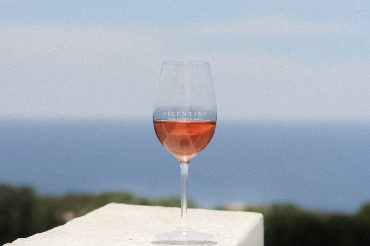 Zambujeira do mar Wine Tasting