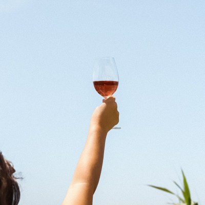 Zambujeira do mar Wine Tasting