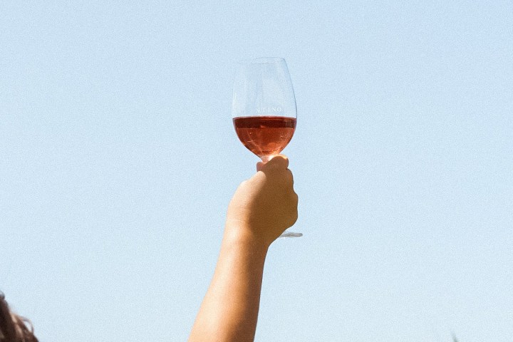 Zambujeira do mar Wine Tasting