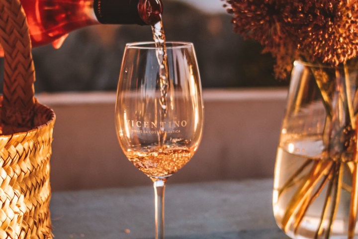 Zambujeira do mar Wine Tasting