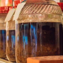 Wild Fermented Drinks Tour