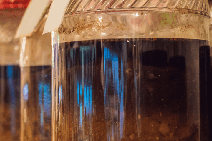 Wild Fermented Drinks Tour