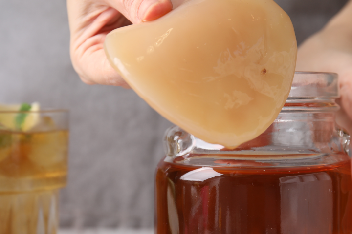 Wild Fermented Drinks Tour