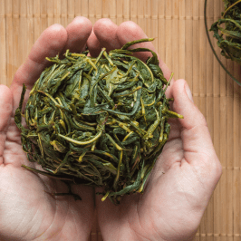 Wild Fermented Drinks Tour