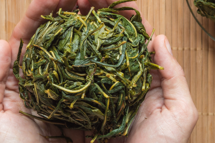 Wild Fermented Drinks Tour